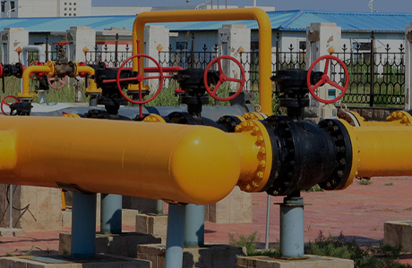 La société du groupe a obtenu une licence de production de produits industriels