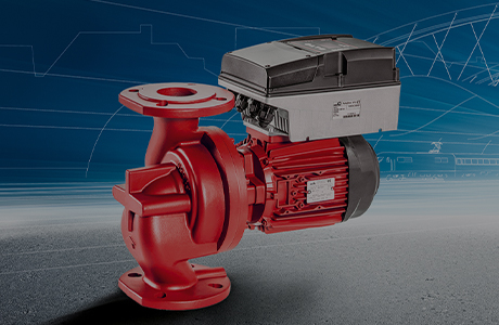 Certificat de solvabilité [niveau AAA]